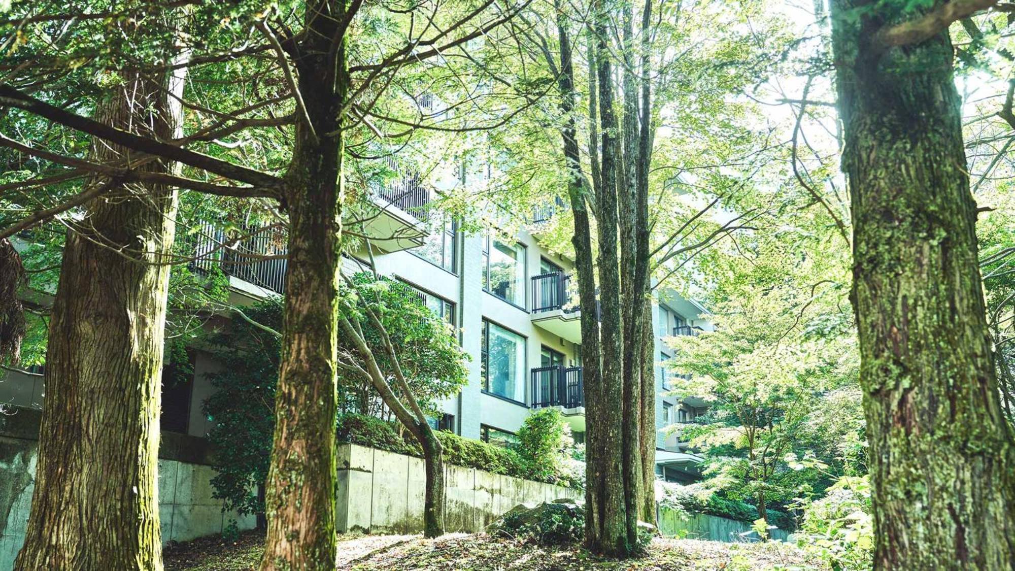 Hotel Tokyu Vacations Hakone Gora Esterno foto